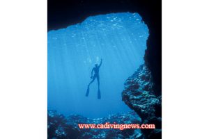 This image portrays Easy Freediving by California Diving News.