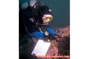 This image portrays Reef Check Trains Divers by California Diving News.
