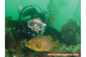 This image portrays White Point by California Diving News.