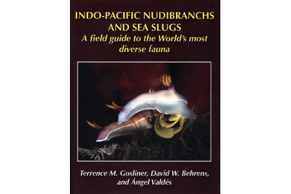 Indo-Pacific Nudibrachs and Sea Slugs