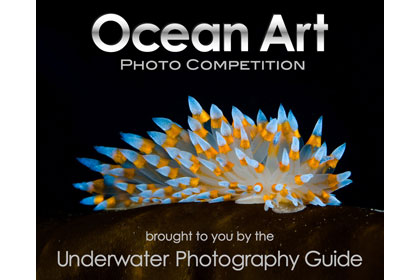 Ocean Art Underwater Photo Competition Deadline November 14