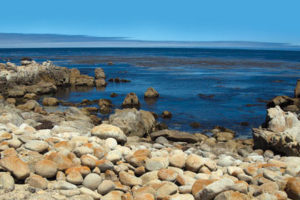 This image portrays Perfect Conditions for Exploring Monterey's Point Pinos from Shore by California Diving News.