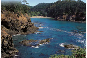 This image portrays Russian Gulch State Park by California Diving News.