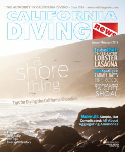 California Diving News | The Authority in California Diving