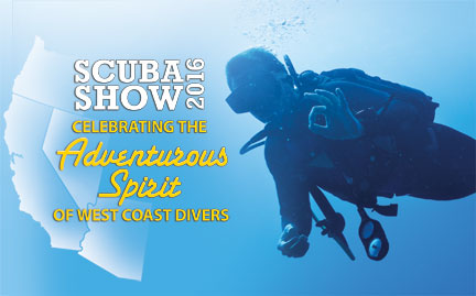 The Business of Passion – The Diving Industry, Seen Through a Show