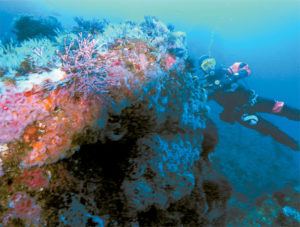 Egg Rock Dive Site Channel Islands
