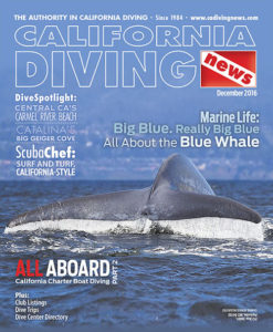 California Diving News | The Authority in California Diving
