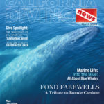 Welcome to California Diving News – Your Resource for Diving the Golden State