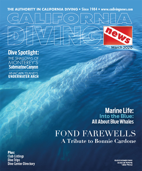 Welcome to California Diving News – Your Resource for Diving the Golden State