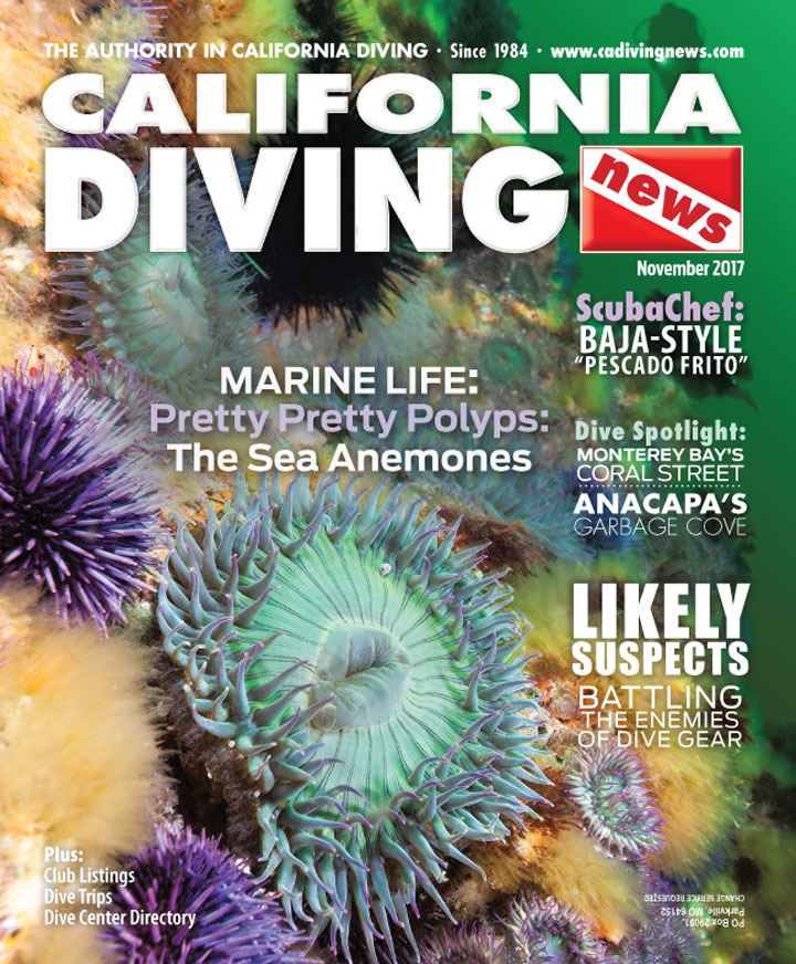 This image portrays Welcome to California Diving News - Your Resource for Diving the Golden State by California Diving News.