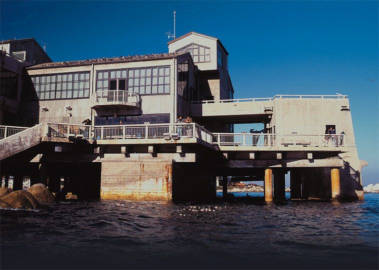 Taking It In Diving Near Monterey Bay Aquarium S Intake Pipes California Diving News