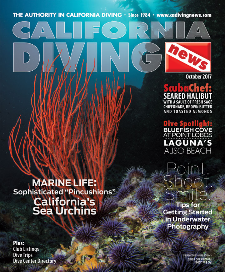California Diving News | The Authority in California Diving