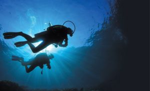 California Diving News