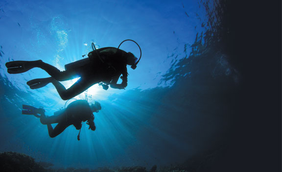 This image portrays Likely Suspects: Battling the Enemies of Dive Gear  by California Diving News.