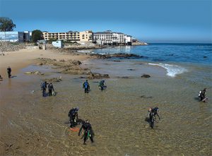 This image portrays A Cool Dive Off Cannery Row: Enjoying San Carlos Beach by California Diving News.