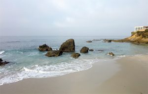 This image portrays Off the Beaten Path in Laguna: Woods Cove by California Diving News.