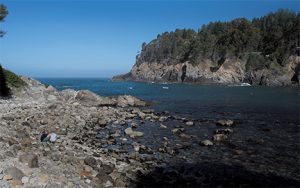 This image portrays The Perfect “Camp and Dive” Site: Ocean Cove by California Diving News.