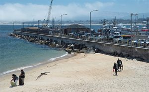 This image portrays Monterey’s Iconic Dive Site: The Breakwater by California Diving News.