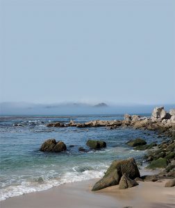 This image portrays A Great Escape: Carmel River State Beach by California Diving News.