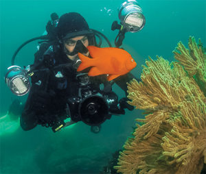 This image portrays The California Photo Challenge: Tips for Creating Winning Underwater Images  by California Diving News.