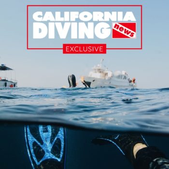 This image is by California Diving News.