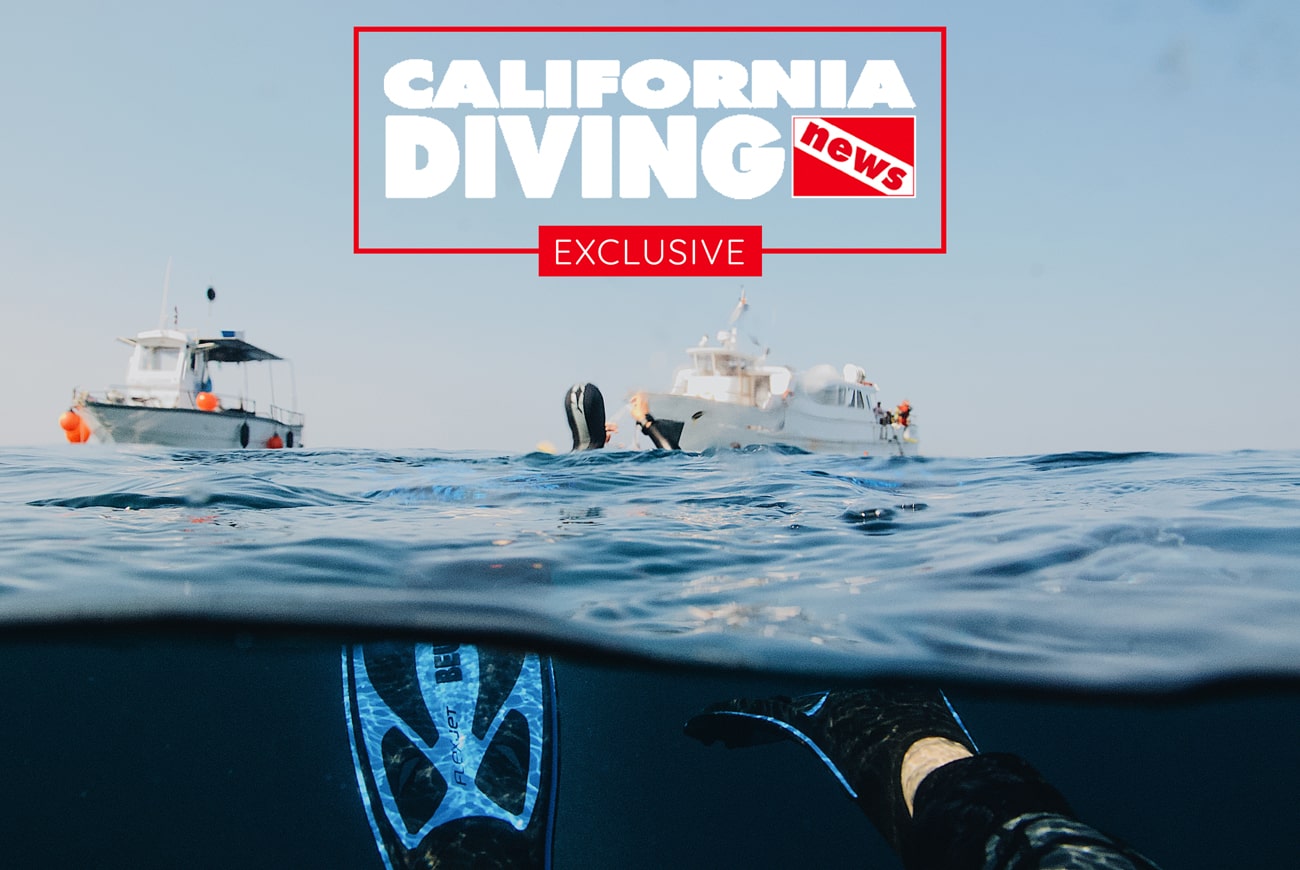 California Abalone Diving