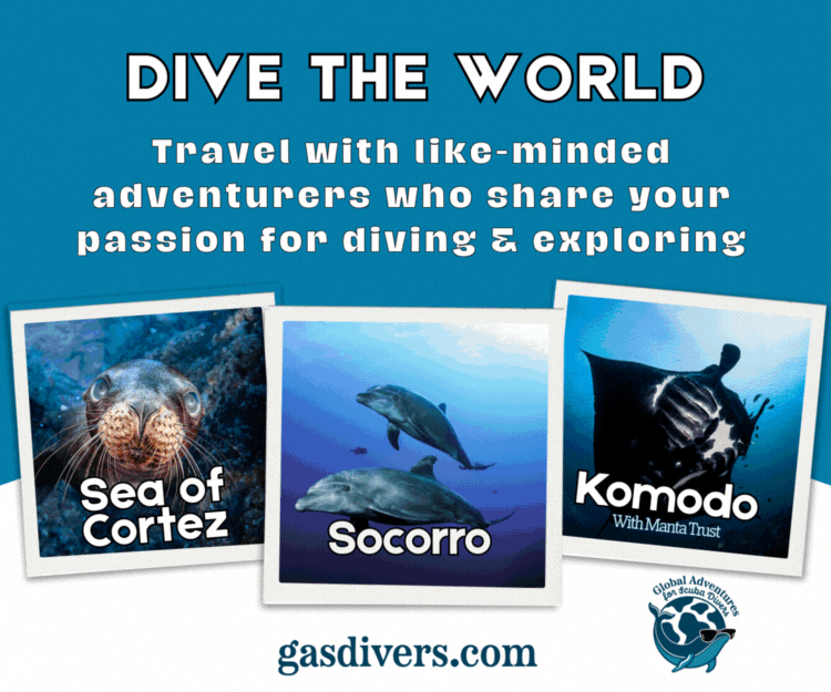 GAS Divers